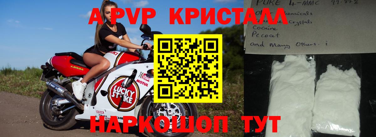 Курск  Alfa_PVP СК КРИС  Альфа ПВП  Вход с VPN 
