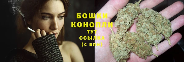 трава Новозыбков