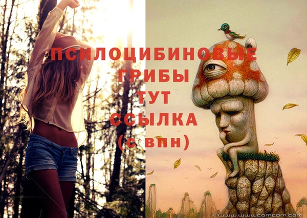герыч Новодвинск