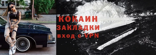 трава Новозыбков