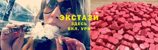 трава Новозыбков