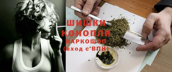 трава Новозыбков