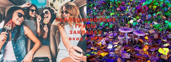 трава Новозыбков