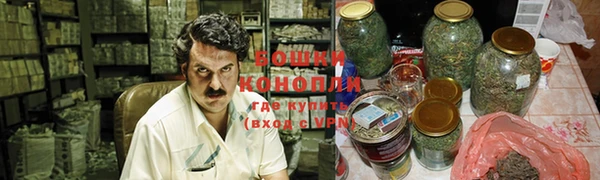 трава Новозыбков