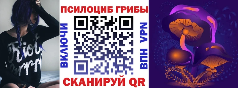 KRAKEN ссылка  Курск  Псилоцибиновые грибы Psilocybe  цены наркотик 