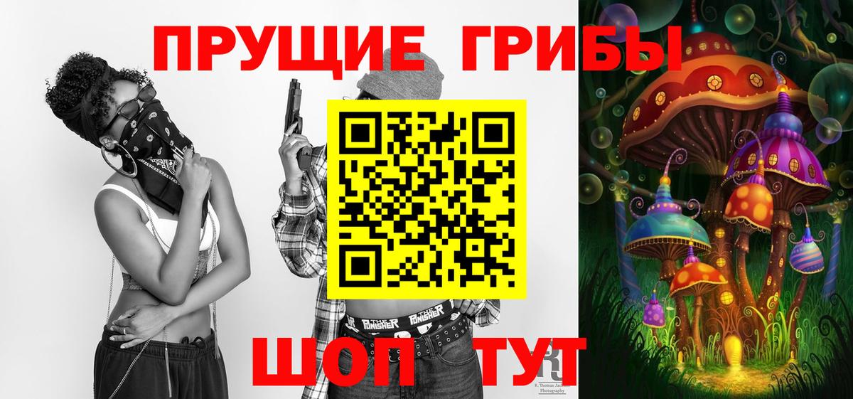 Галлюциногенные грибы Psilocybe  Курск 